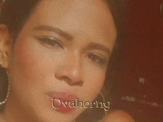 Uvahorny