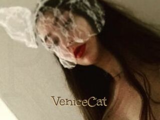 VeniceCat