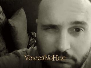 VoicesNoHue