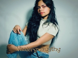 Vaalerynaugthy