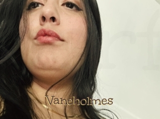 Vaneholmes