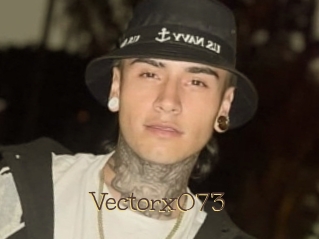 Vectorx073