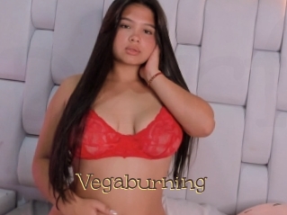 Vegaburning