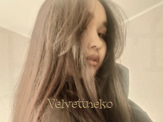 Velvettneko