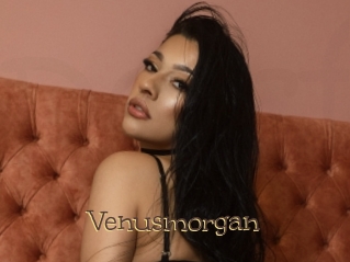 Venusmorgan