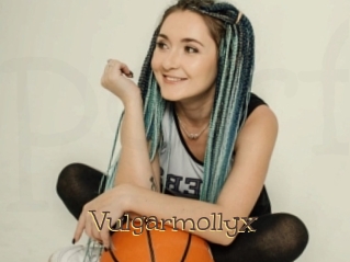 Vulgarmollyx