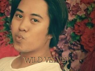 WILD_VELVET
