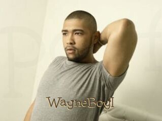 WayneBoyI