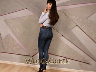 WhatIsGentle