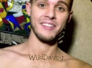 WildDavey