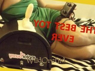 WildOrchid_
