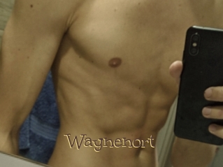 Waynenort
