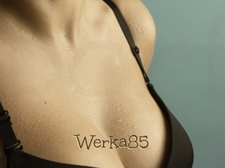 Werka85