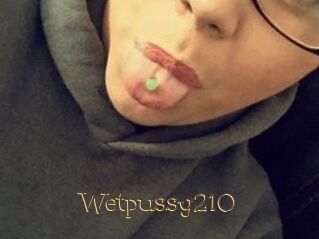 Wetpussy210