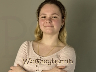 Whitneyherrin