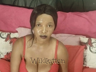 Wildkitten