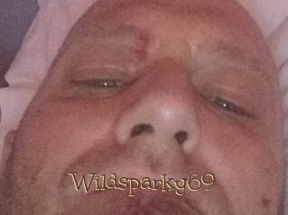 Wildsparky69
