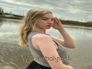 Wilonebolyard