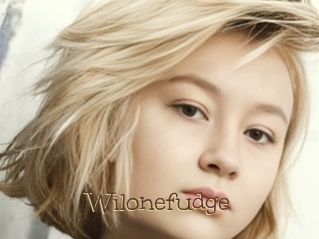 Wilonefudge