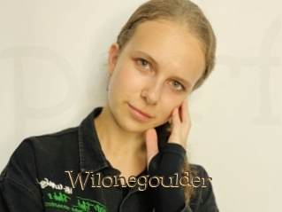 Wilonegoulder