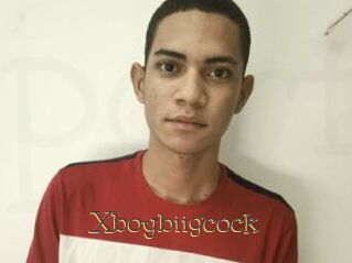 Xboybiigcock