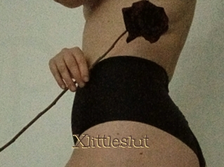 Xlittleslut