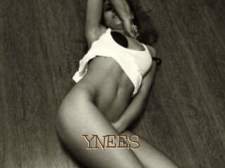 YNEES