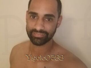 Yigolo0388