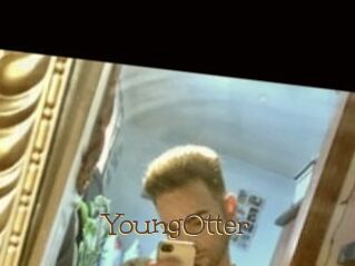 YoungOtter