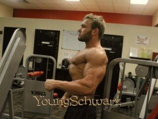 YoungSchwarz
