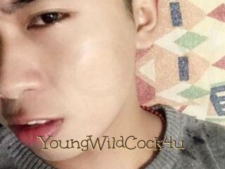 YoungWildCock4u