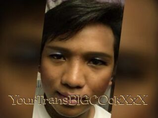 YourTransBIGCOckXxX