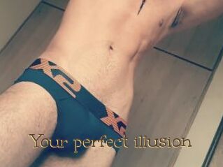 Your_perfect_illusion