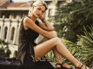 Yourbird