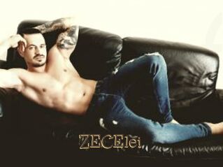 ZECElei