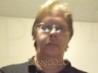 Ziggy2020