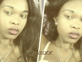 Zinzixx