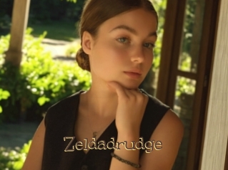 Zeldadrudge