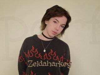 zeldaharkey Porno FR