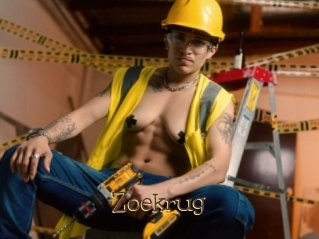 Zoekrug